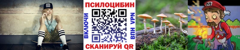 Купить  Добрянка  Псилоцибиновые грибы ЛСД 